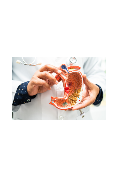 Endoskopowa Rękawowa Gastroplastyka Żołądka
