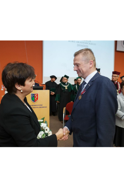 Brązowy Krzyż Zasługi